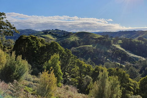 3-Day Adelaide To Melbourne Tour Including The Great Ocean Road - Northern Rivers Accommodation 7