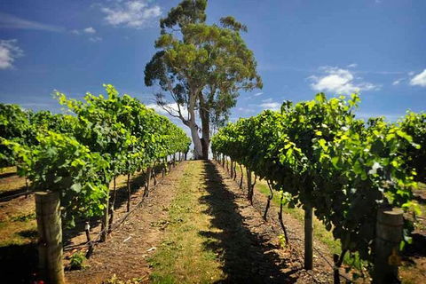 Small Group Adelaide Hills And Hahndorf Hideaway Tour From Adelaide - Northern Rivers Accommodation 1