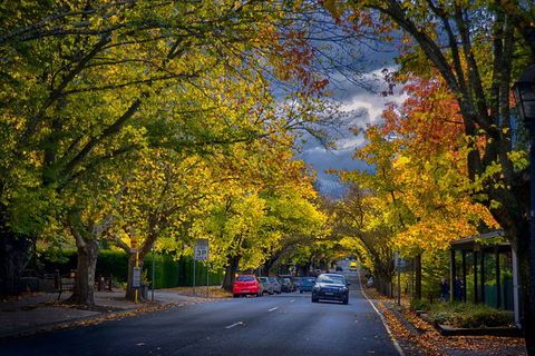 Small Group Adelaide Hills And Hahndorf Hideaway Tour From Adelaide - Northern Rivers Accommodation 8