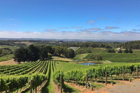 Small-Group Full-Day Adelaide Hills And Hahndorf Wine Tour From Adelaide - Northern Rivers Accommodation 0