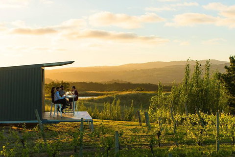 The Lane Vineyard: Panorama Private Wine Tasting Experience - Northern Rivers Accommodation 0
