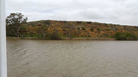Murray River Riverboat Tour Including Lunch From Adelaide - Northern Rivers Accommodation 9