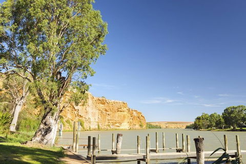 Murray River Riverboat Tour Including Lunch From Adelaide - Northern Rivers Accommodation 1