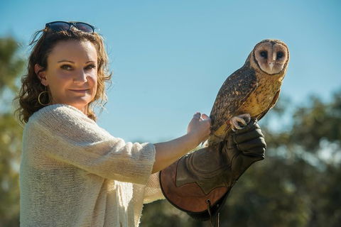 Kangaroo Island Wildlife Day Trip From Adelaide Including Seal Bay - Northern Rivers Accommodation 1