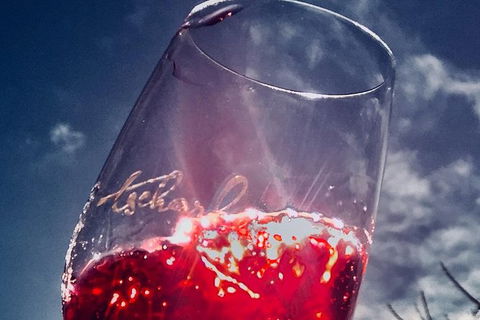 Private Winery Tour Chauffeured - Northern Rivers Accommodation 7