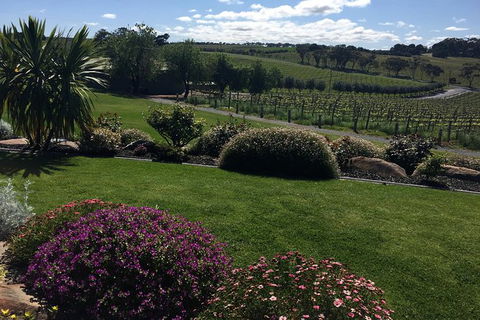 Private Winery Tour Chauffeured - Northern Rivers Accommodation 13