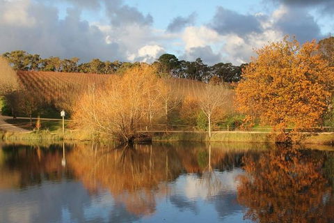 Small-Group Fleurieu Peninsula Food And Wine Experience By 4WD Including 3-Course Lunch - Northern Rivers Accommodation 0