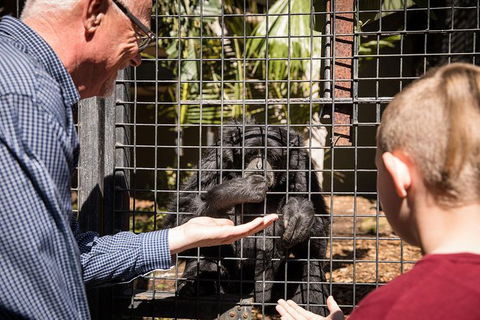 Adelaide Zoo Behind The Scenes Experience: Meet The Primates - Northern Rivers Accommodation 1