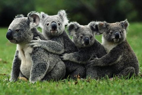 Barossa Private Group 1-13 Tour To Barossa Valley Or McLaren Vale From Adelaide - Northern Rivers Accommodation 20