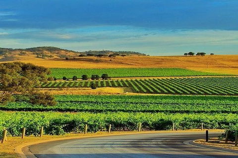 Barossa Private Group 1-13 Tour To Barossa Valley Or McLaren Vale From Adelaide - Northern Rivers Accommodation 37