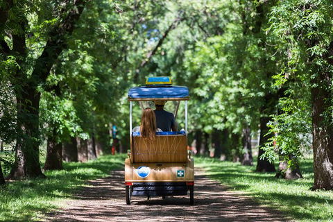 Adelaide 90-Minute Pedicab Tour: Scenic Green & River Experience - Northern Rivers Accommodation 0