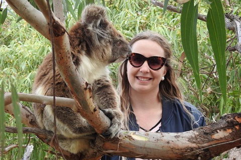One Day Port Lincoln Tour - Tasting Eyre - Northern Rivers Accommodation 0