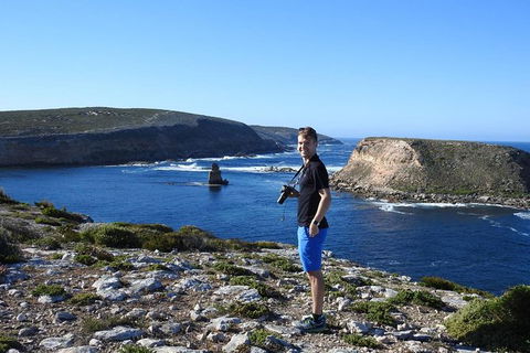 One Day Port Lincoln Tour - Tasting Eyre - Northern Rivers Accommodation 11