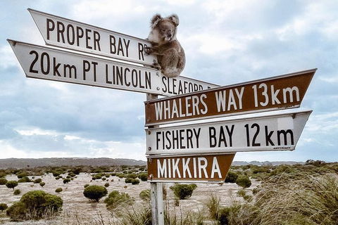 One Day Port Lincoln Tour - Tasting Eyre - Northern Rivers Accommodation 4