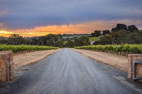 The Ultimate Shottesbrooke Wine & Food Experience - Northern Rivers Accommodation 0