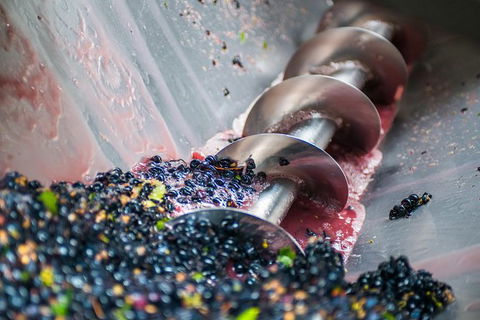 The Ultimate Shottesbrooke Wine & Food Experience - Northern Rivers Accommodation 9