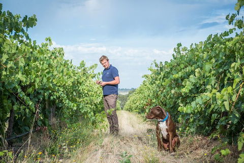 The Ultimate Shottesbrooke Wine & Food Experience - Northern Rivers Accommodation 7