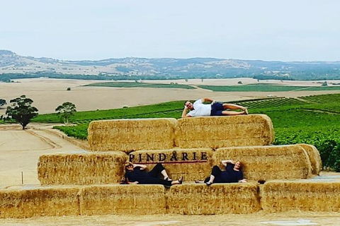 Barossa Wine Tasting Shared Tours - Northern Rivers Accommodation 6