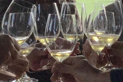 Luxury Private Mclaren Vale Wine Tour - Northern Rivers Accommodation 1