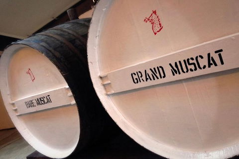 Luxury Private Mclaren Vale Wine Tour - Northern Rivers Accommodation 6