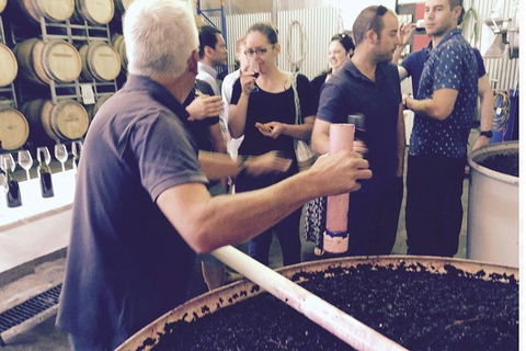 Luxury Private Mclaren Vale Wine Tour - Northern Rivers Accommodation 7