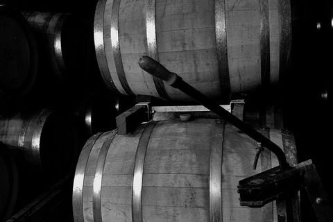 McLaren Vale Tour, Visit Up To 5 Wineries With A Great Itinerary. - Northern Rivers Accommodation 14