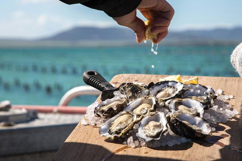 Experience Coffin Bay Oyster Farm And Bay Tour - Northern Rivers Accommodation 0