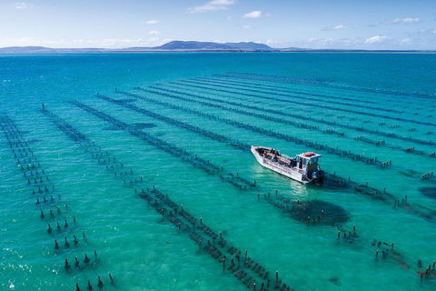 Experience Coffin Bay Oyster Farm And Bay Tour - Northern Rivers Accommodation 1