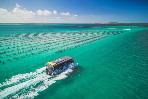 Experience Coffin Bay Oyster Farm And Bay Tour - Northern Rivers Accommodation 2