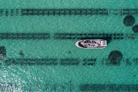 Experience Coffin Bay Oyster Farm And Bay Tour - Northern Rivers Accommodation 4