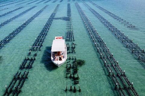 Experience Coffin Bay Oyster Farm And Bay Tour - Northern Rivers Accommodation 8