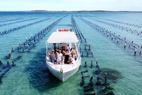Experience Coffin Bay Oyster Farm And Bay Tour - Northern Rivers Accommodation 12