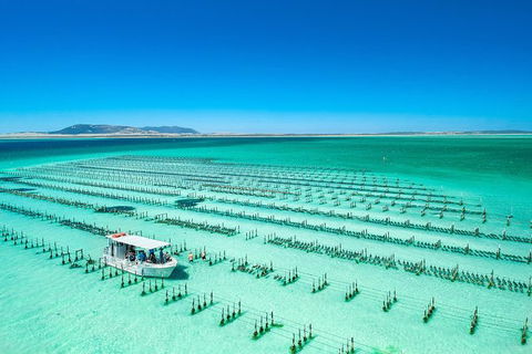Experience Coffin Bay Oyster Farm And Bay Tour - Northern Rivers Accommodation 7