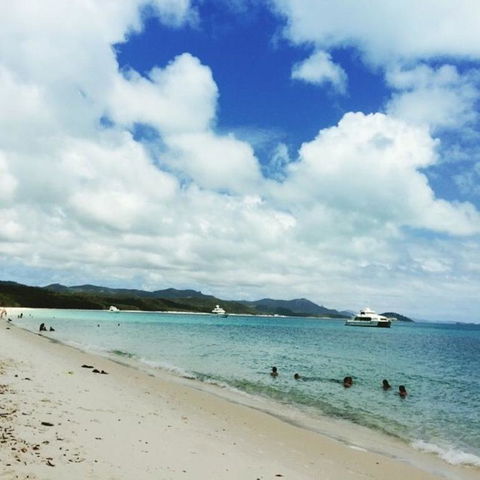 Whitehaven Beach Half-Day Cruises - Northern Rivers Accommodation 11