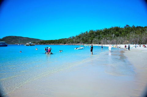 Whitehaven Beach Half-Day Cruises - Northern Rivers Accommodation 9