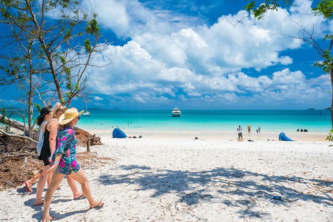 Whitehaven Beach Half-Day Cruises - Northern Rivers Accommodation 0