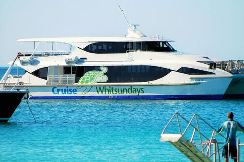 Whitehaven Beach Half-Day Cruises - Northern Rivers Accommodation 10