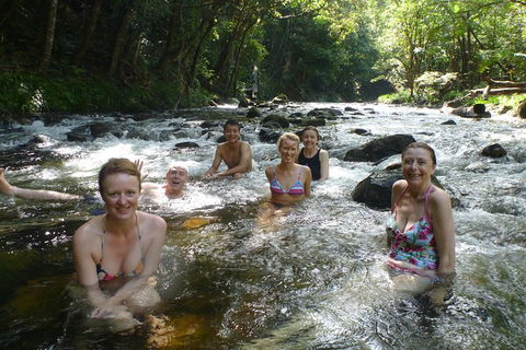 Daintree Rainforest, Cape Tribulation, Mossman Gorge In A Day - Northern Rivers Accommodation 10