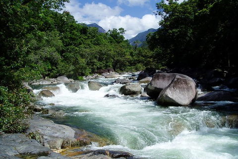 Daintree Rainforest, Cape Tribulation, Mossman Gorge In A Day - Northern Rivers Accommodation 2