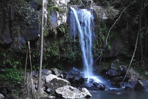 You Choose The Tour: Brisbane Private Chauffeur Driven Personal Tour - Northern Rivers Accommodation 0