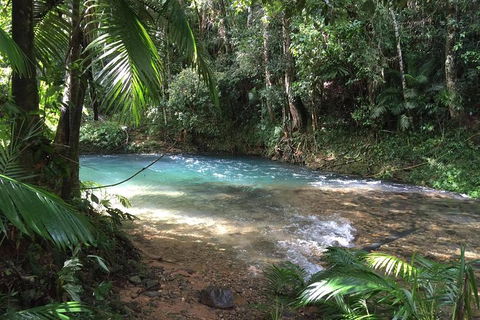 Daintree - Cape Tribulation & Atherton Tablelands Tours From Port Douglas - Northern Rivers Accommodation 5