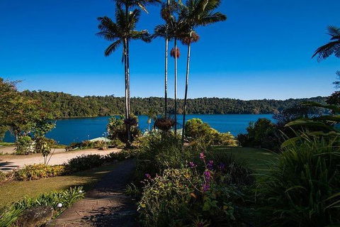 Daintree - Cape Tribulation & Atherton Tablelands Tours From Port Douglas - Northern Rivers Accommodation 25