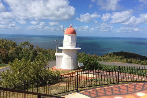 Daintree - Cape Tribulation & Atherton Tablelands Tours From Port Douglas - Northern Rivers Accommodation 21