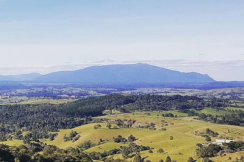 Daintree - Cape Tribulation & Atherton Tablelands Tours From Port Douglas - Northern Rivers Accommodation 10