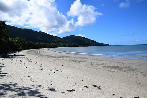 Daintree - Cape Tribulation & Atherton Tablelands Tours From Port Douglas - Northern Rivers Accommodation 18