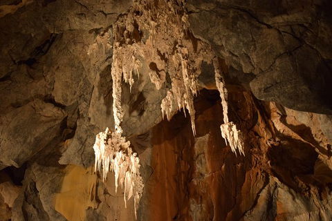 Daintree - Cape Tribulation & Atherton Tablelands Tours From Port Douglas - Northern Rivers Accommodation 23