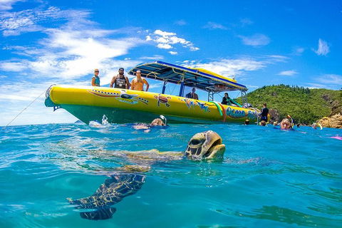 Ocean Rafting Tour To Whitehaven Beach, Hill Inlet Lookout & Top Snorkel Spots - Northern Rivers Accommodation 0