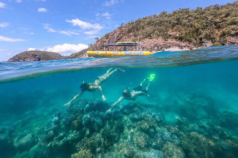 Ocean Rafting Tour To Whitehaven Beach, Hill Inlet Lookout & Top Snorkel Spots - Northern Rivers Accommodation 16