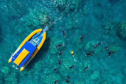 Ocean Rafting Tour To Whitehaven Beach, Hill Inlet Lookout & Top Snorkel Spots - Northern Rivers Accommodation 21