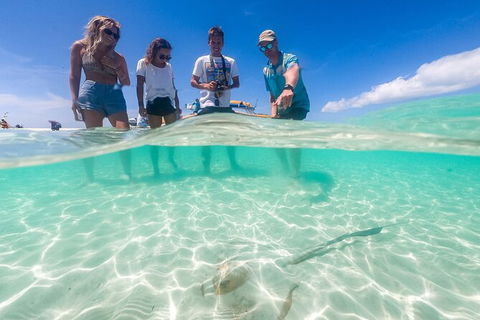 Ocean Rafting Tour To Whitehaven Beach, Hill Inlet Lookout & Top Snorkel Spots - Northern Rivers Accommodation 24